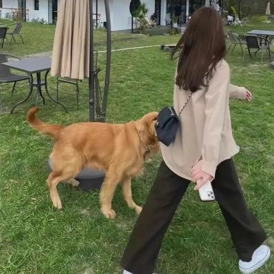 艳妓春色